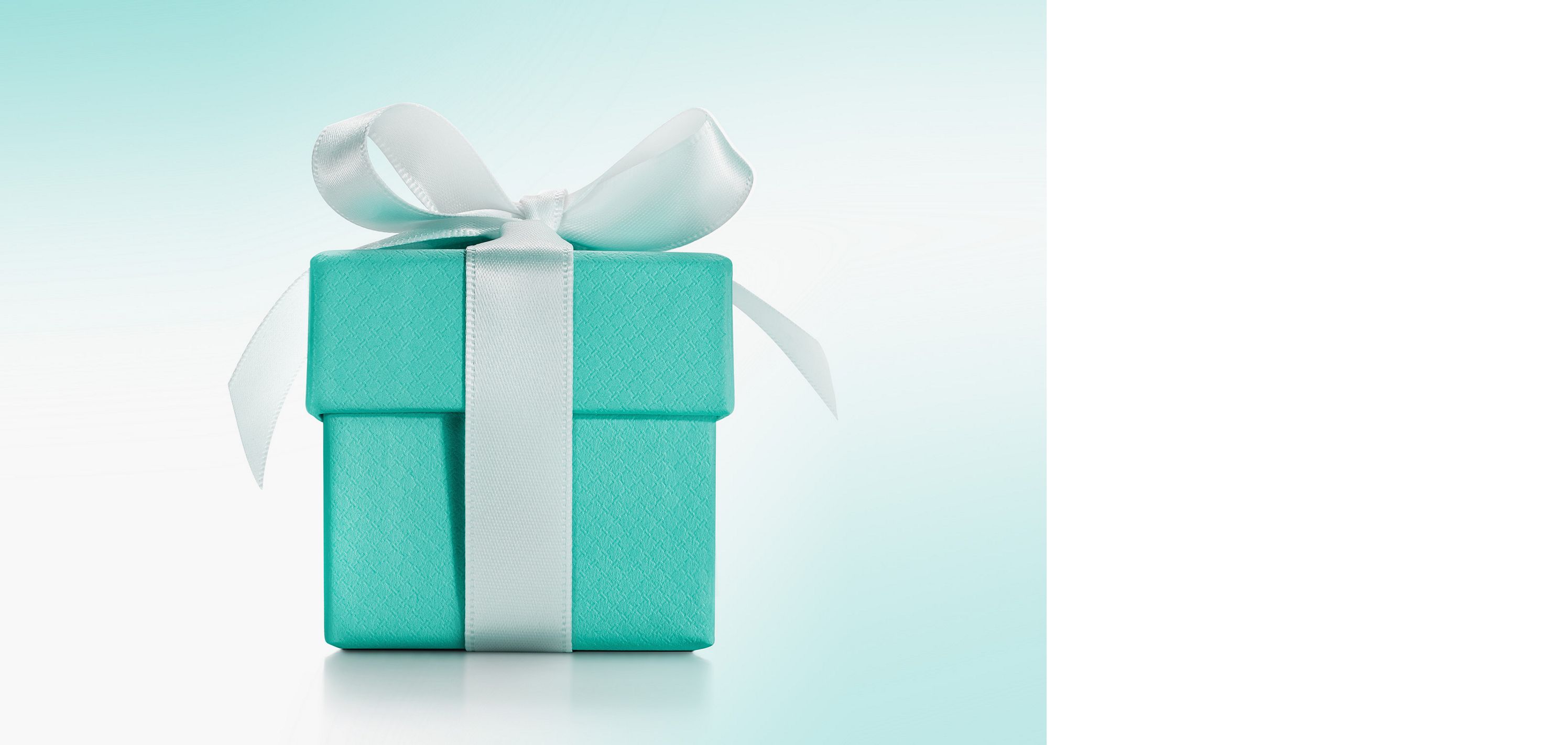 Tiffany Blue Box 蒂芙尼蓝色礼盒| Tiffany & Co.